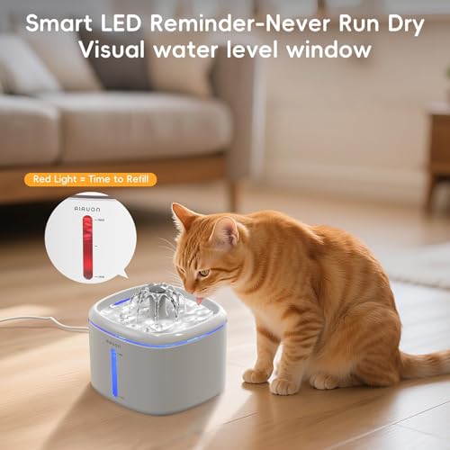 Cat Water Fountain