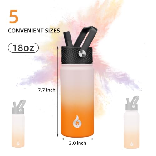 18oz Insulated Water Bottle with Straw Lid