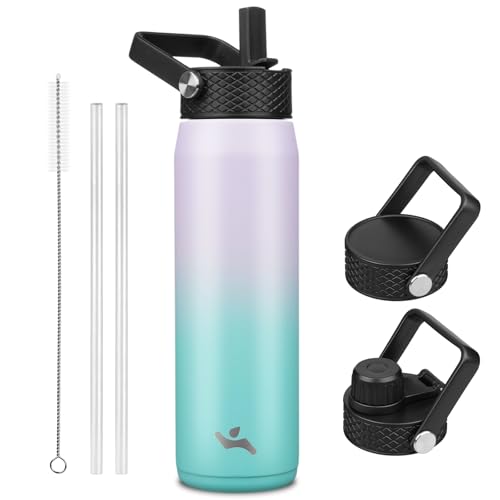 25 oz Insulated Stainless Steel Water Bottle with 3 Lids