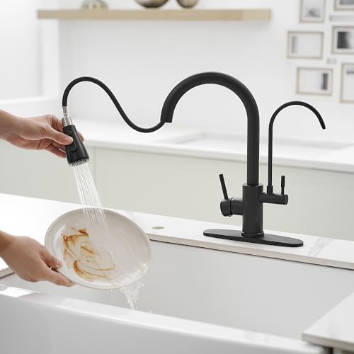 Black Kitchen Faucets with Water Filter and Pull Down Sprayer