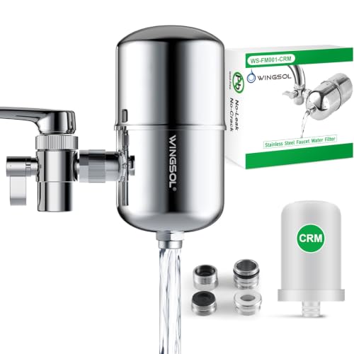 Stainless Steel Water Filter for Sink Faucet