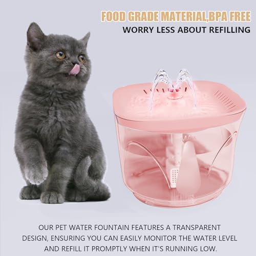 Cat Water Fountain