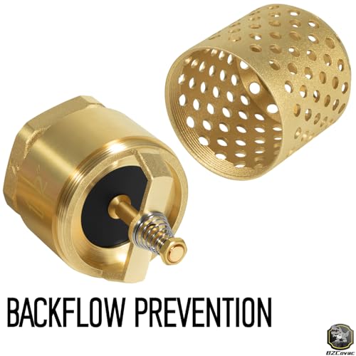 2 Inch Brass Foot Valve with Mesh Strainer