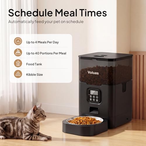 Automatic Cat Feeder