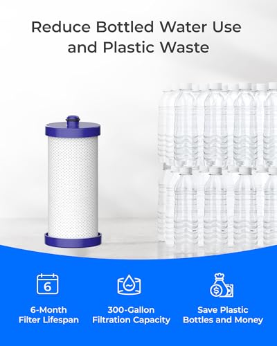 WF1CB Refrigerator Water Filter (6 Count)