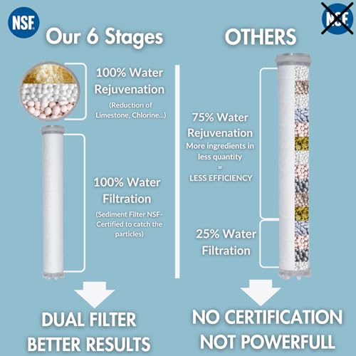 Dual Hard Water NSF Filter Shower Head