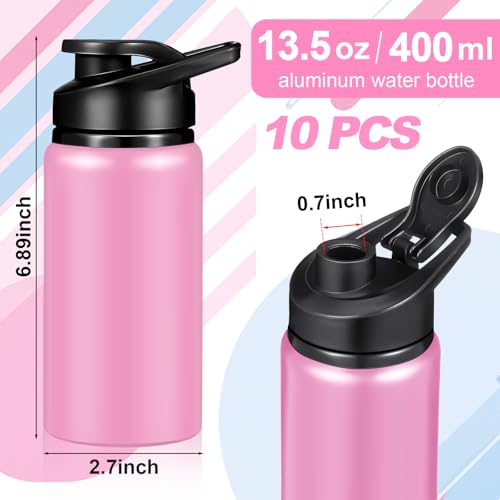 10 Pcs 13.5oz Aluminum Water Bottles Bulk (10 Count)