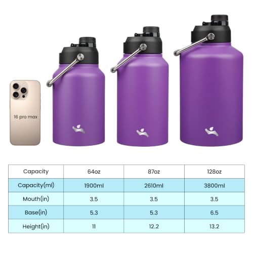 87 oz Insulated Stainless Steel Water Bottle Jug with Handle