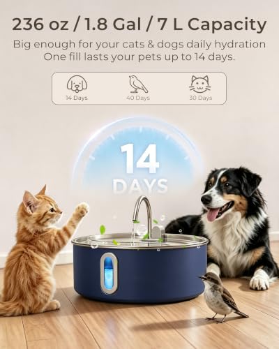 7L 236oz Stainless Steel Dog Water Fountain for Large Dog Navy Blue