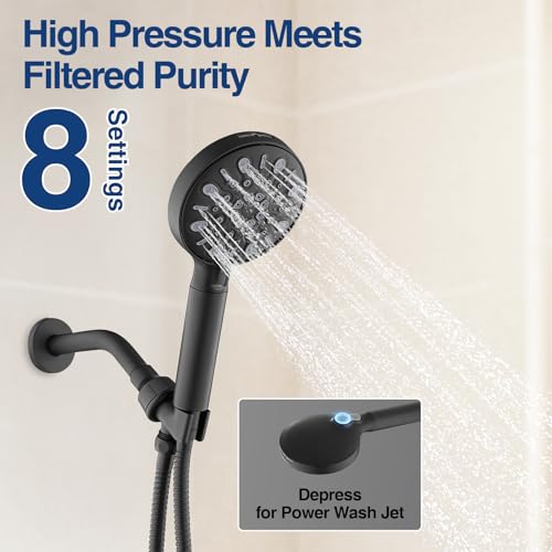 Filtered Shower Head with Handheld