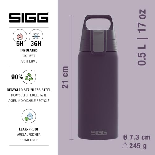 Insulated Kids Water Bottle