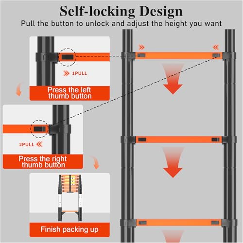 Telescoping Ladder