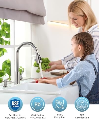 Kitchen Faucet with Soap Dispenser