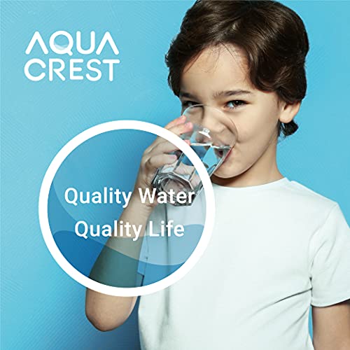 RF10 Water Filter Replacement for Waterdrop 10UA