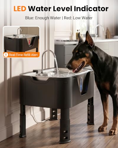 4.75Gal 18L Large Dog Water Fountain Elevated Dog Water Bowl & 3 Filters