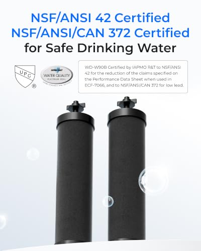 Silver Ions Black Water Filter (2 Count)