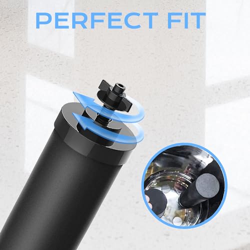 NSF ANSI 42&372 Certified Water Filter (2 Count)