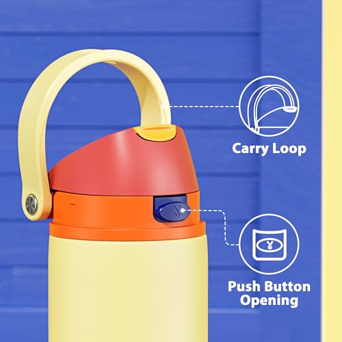 24 oz Insulated Water Bottle with Straw