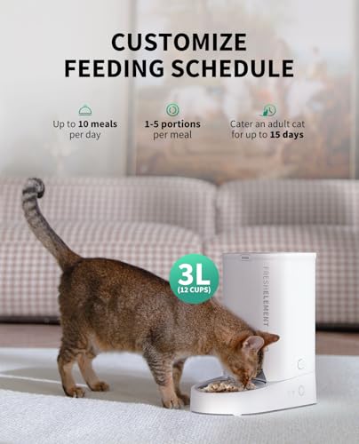 Automatic Cat Feeder
