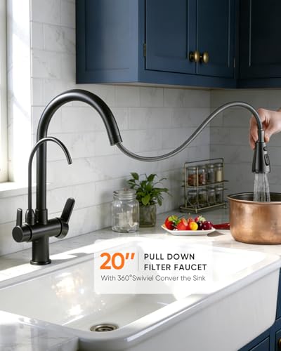 Kitchen Faucet with Water Filter Spout