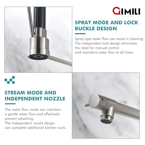 Kitchen Faucet with Soap Dispenser