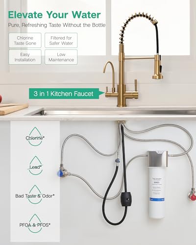 3 in 1 Kitchen Faucet with Pull Down Sprayer Brushed Gold
