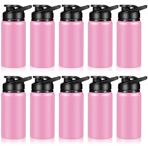 10 Pcs 13.5oz Aluminum Water Bottles Bulk (10 Count)