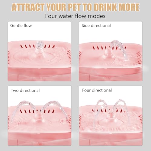 Cat Water Fountain