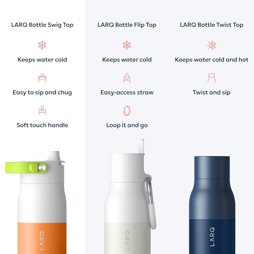 Swig Top Insulated Stainless Steel Water Bottle with Straw and Handle