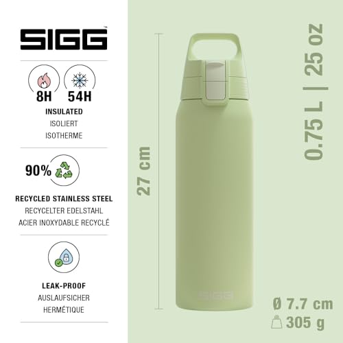 Insulated Water Bottle