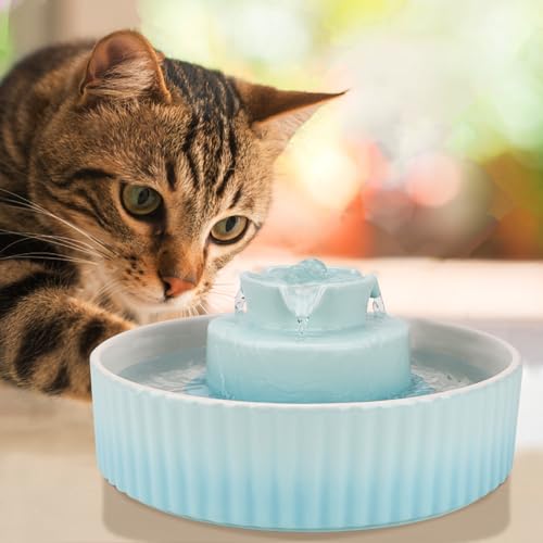 Ceramic Cat Water Fountain