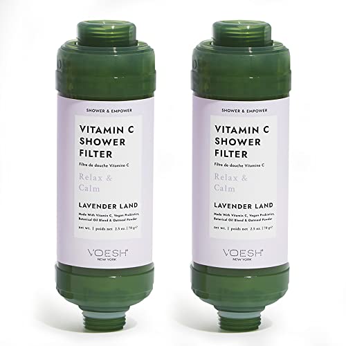 Vitamin C Shower Filter (2 Count)