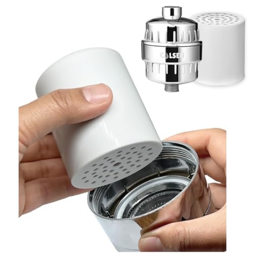 Shower head Filter