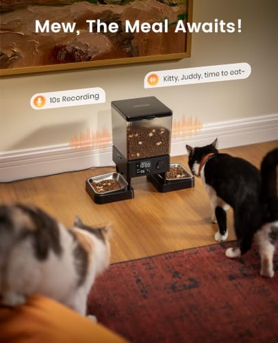 Automatic Cat Feeder for 2 Cats Pets