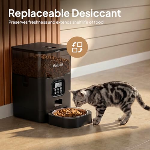 Automatic Cat Feeder
