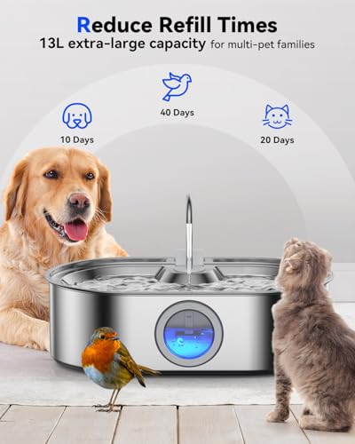 3.4Gal Dog Water Fountain for Large Dogs