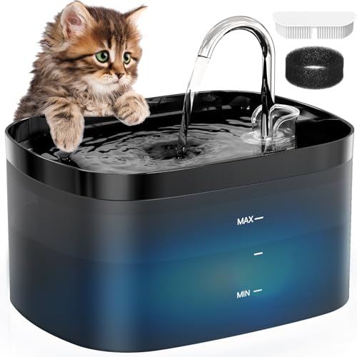 Cat Water Fountain