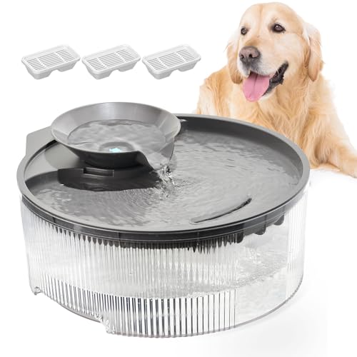 Dog Water Fountain