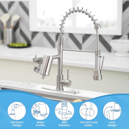 Kitchen Faucet with Water Filter and Pull Down Sprayer