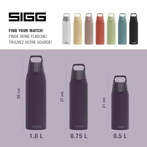 Insulated Water Bottle