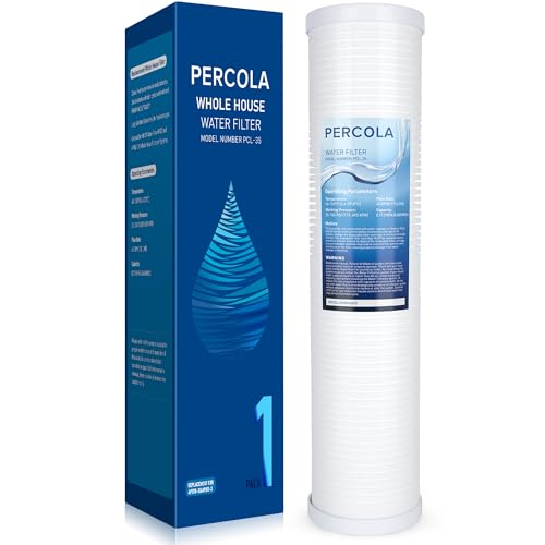AP810-2 High-Capacity Whole-House Replacement Water Filter