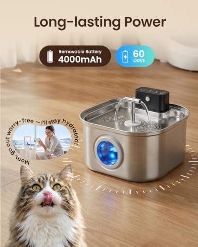 Cordless Cat Water Fountain Stainless Steel