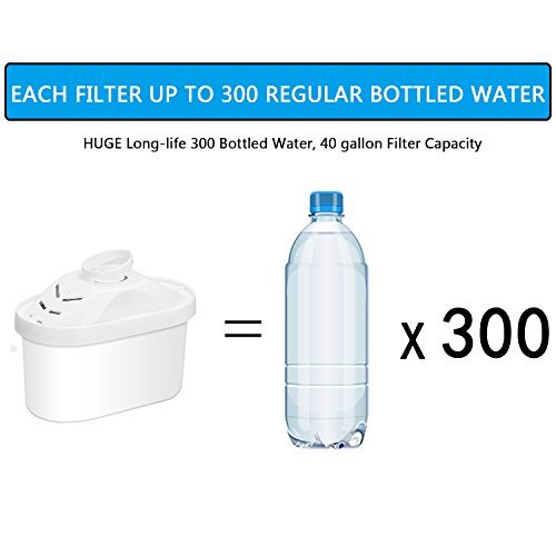 Alkaline Water Filter (2 Count)