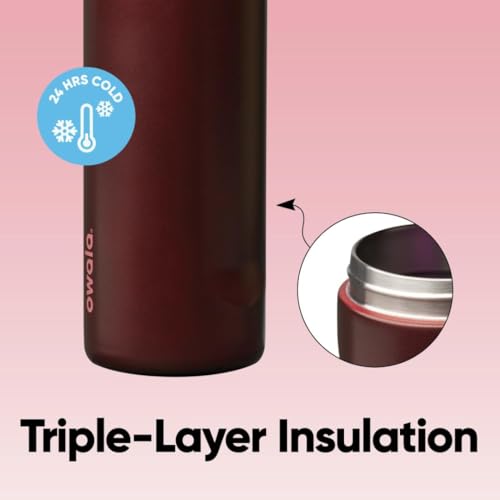 FreeSip Stainless Steel Water Bottle 24 oz Black Cherry