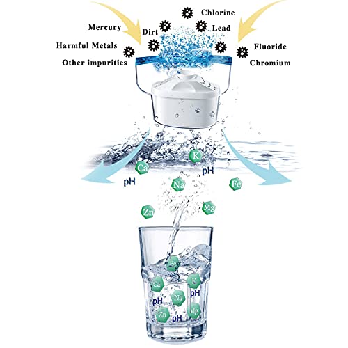 Alkaline Water Filter (2 Count)