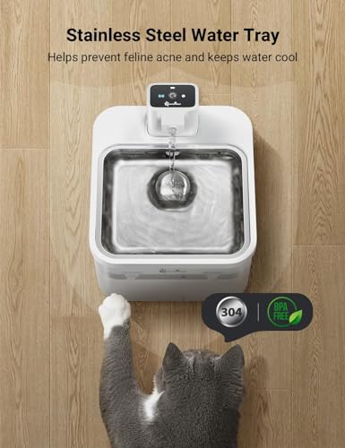 Cat Water Fountain Cordless