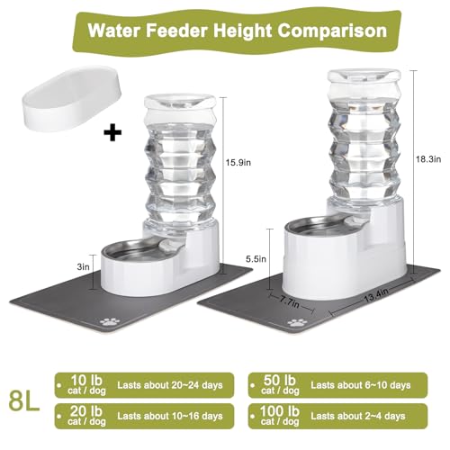 8L Elevated Dog Water Dispenser