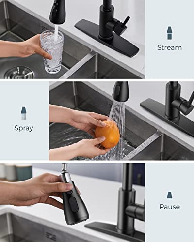 Black Kitchen Faucet with Pull Down Sprayer