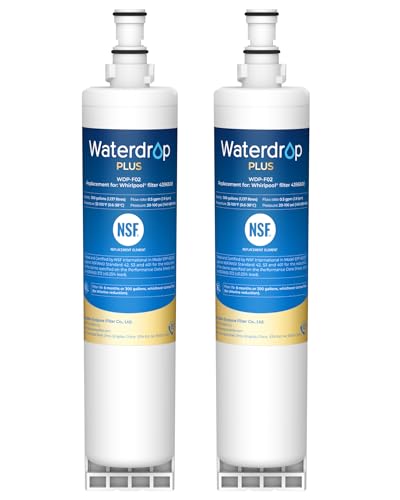 Plus Water Filter (2 Count)