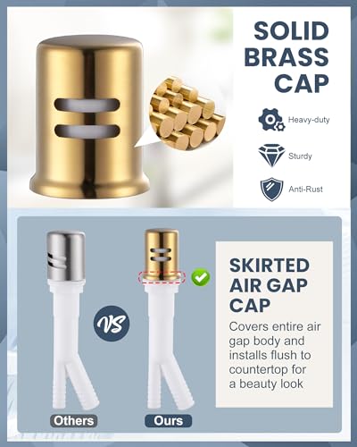 Kitchen Faucet with Air Gap